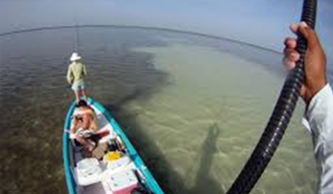 Isla Blanca viaje de pesca