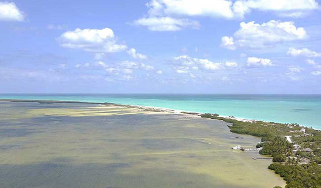 Isla Blanca viaje de pesca