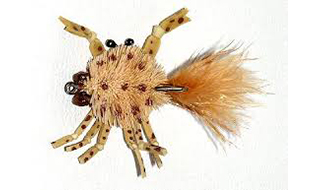 Mccrab