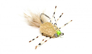 Rag Head Crab