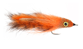 Tarpon Bunny