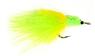 Tarpon Toad