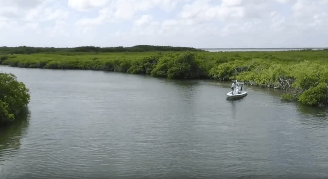Cancun Light Tackle
