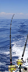 Cancun Deep Sea Fishing