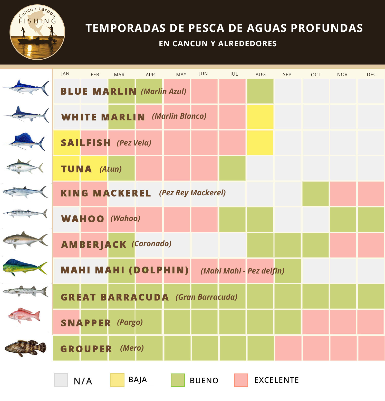 Cancun deep sea fishing calendar