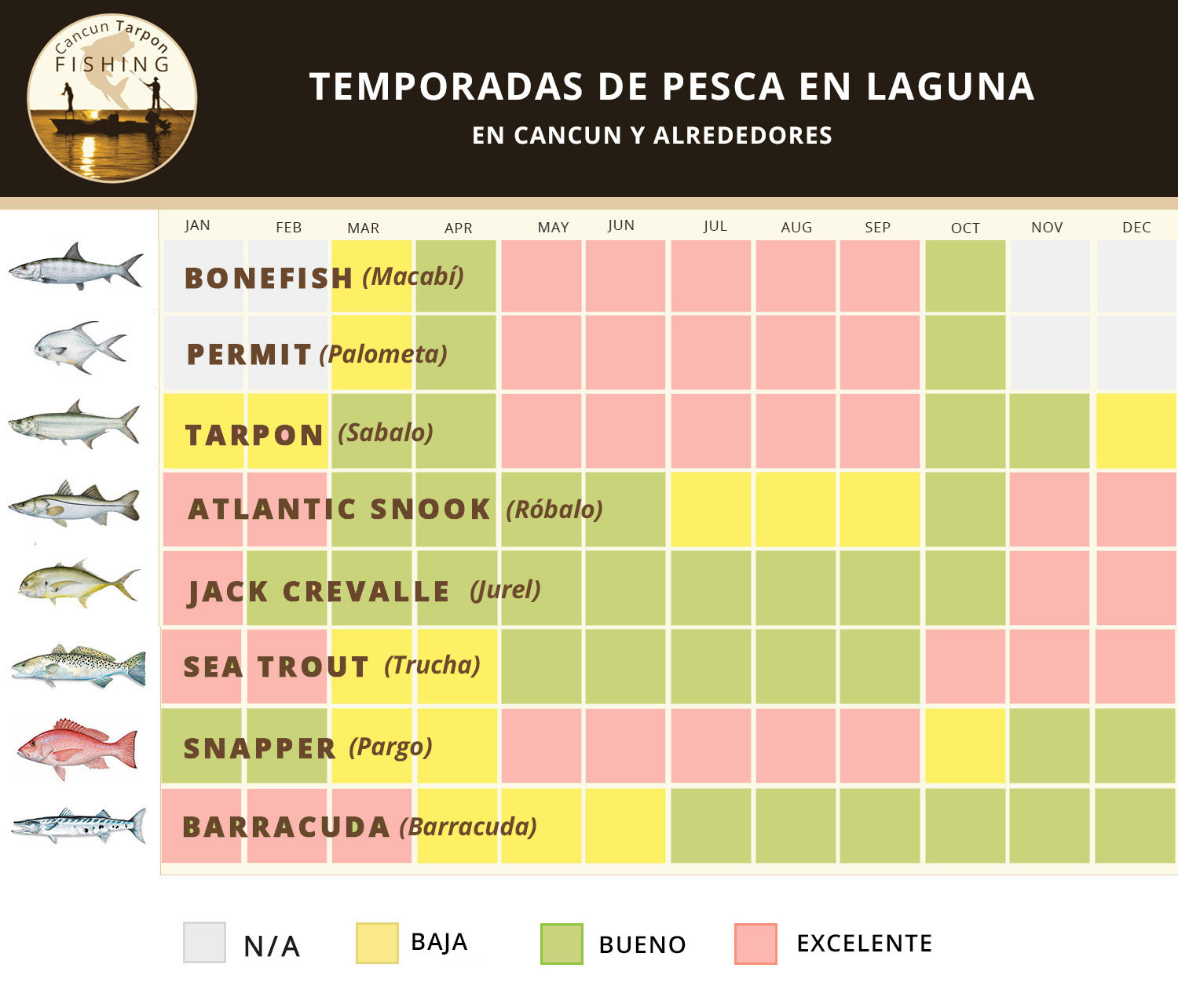 temporadas de pesca cancun