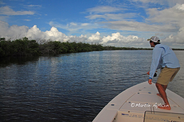 Cancun fishing