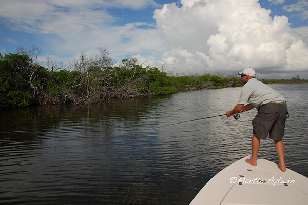 Cancun fishing