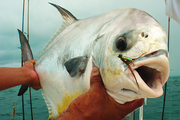 Cancun fishing permit