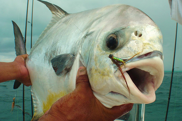 Cancun fishing permit