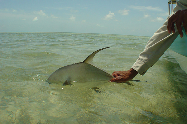 Cancun fishing permit