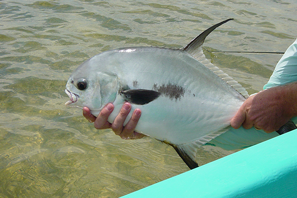 Cancun fishing permit