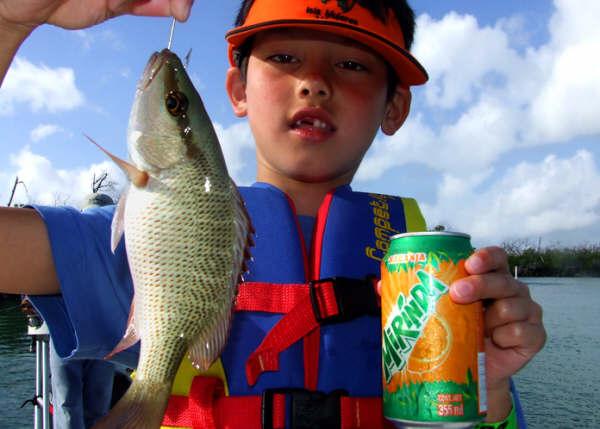 cancun fishing species