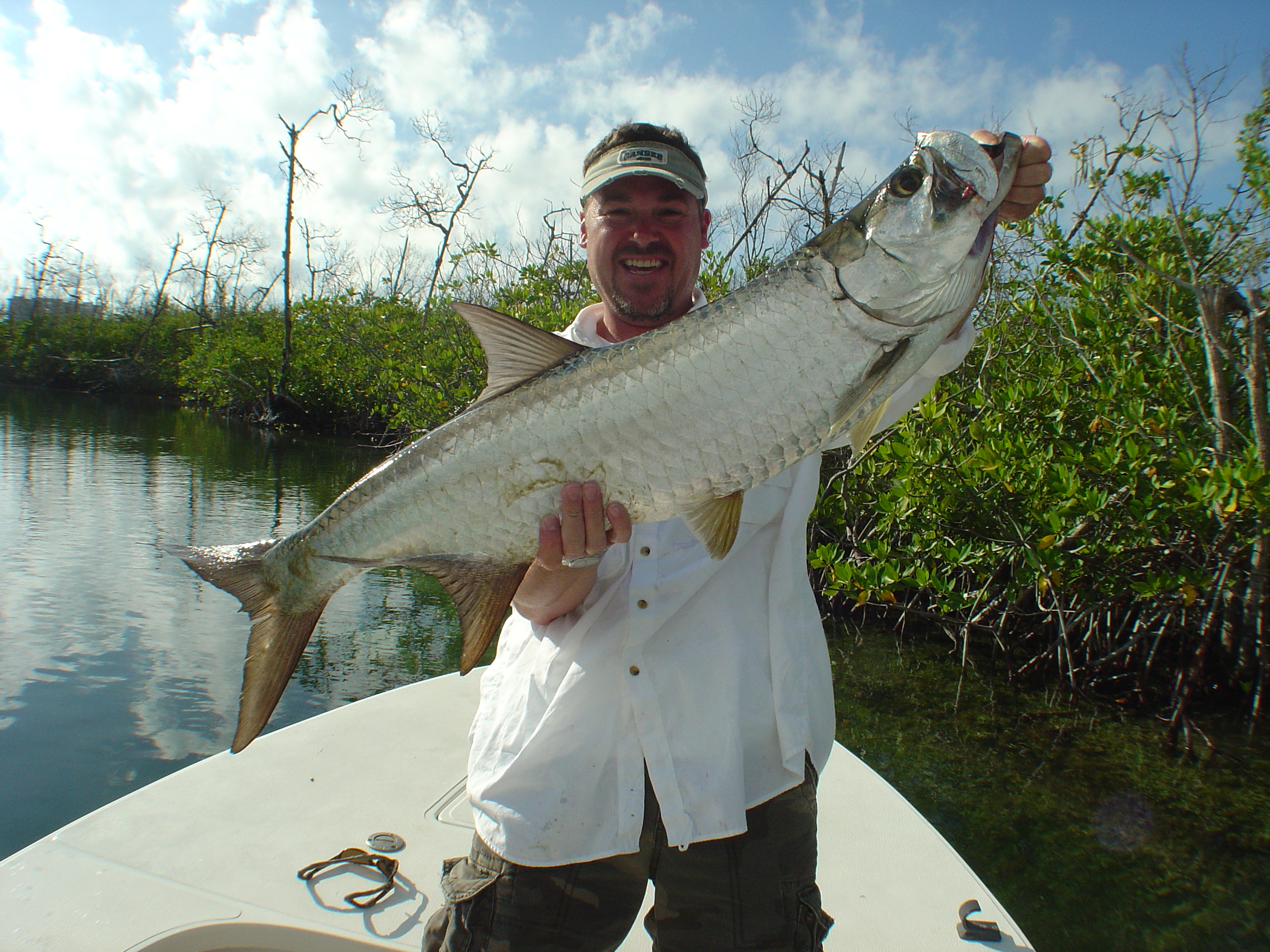 Cancun tarpon