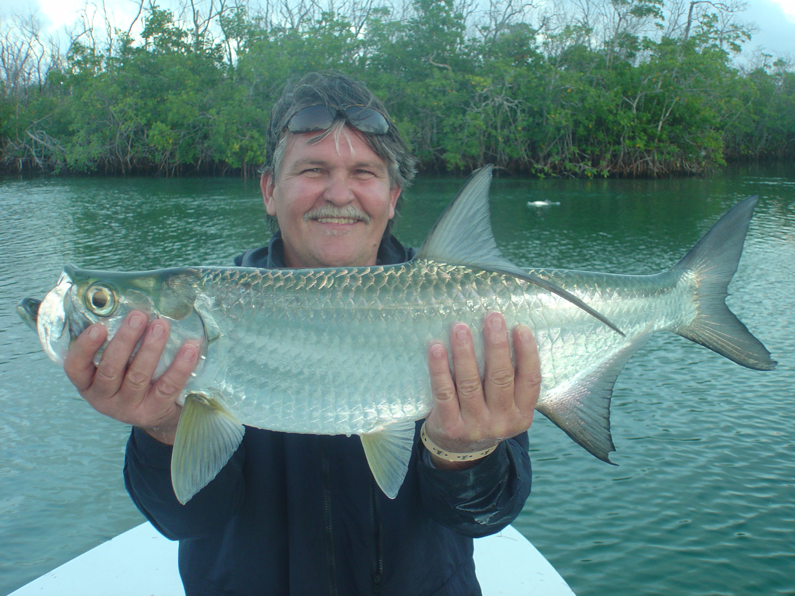 Cancun tarpon