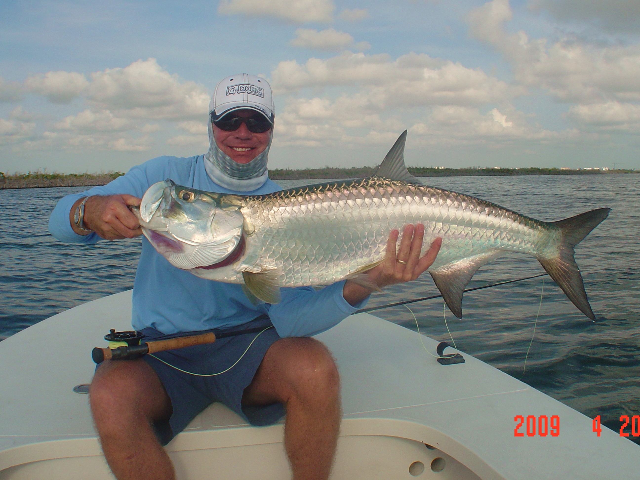 Cancun tarpon