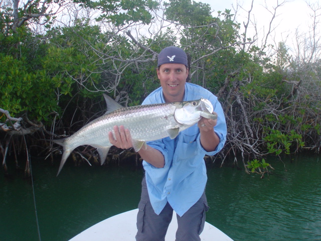 Cancun tarpon