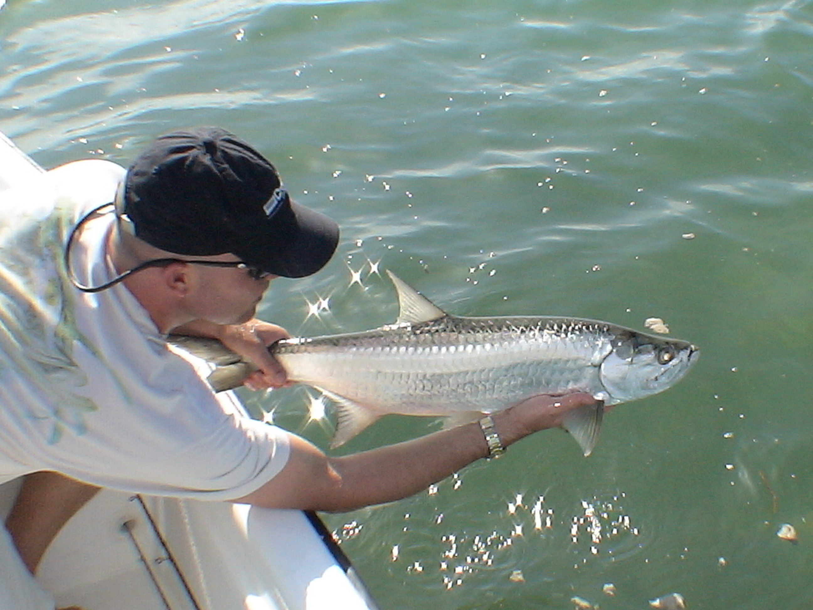 Cancun tarpon