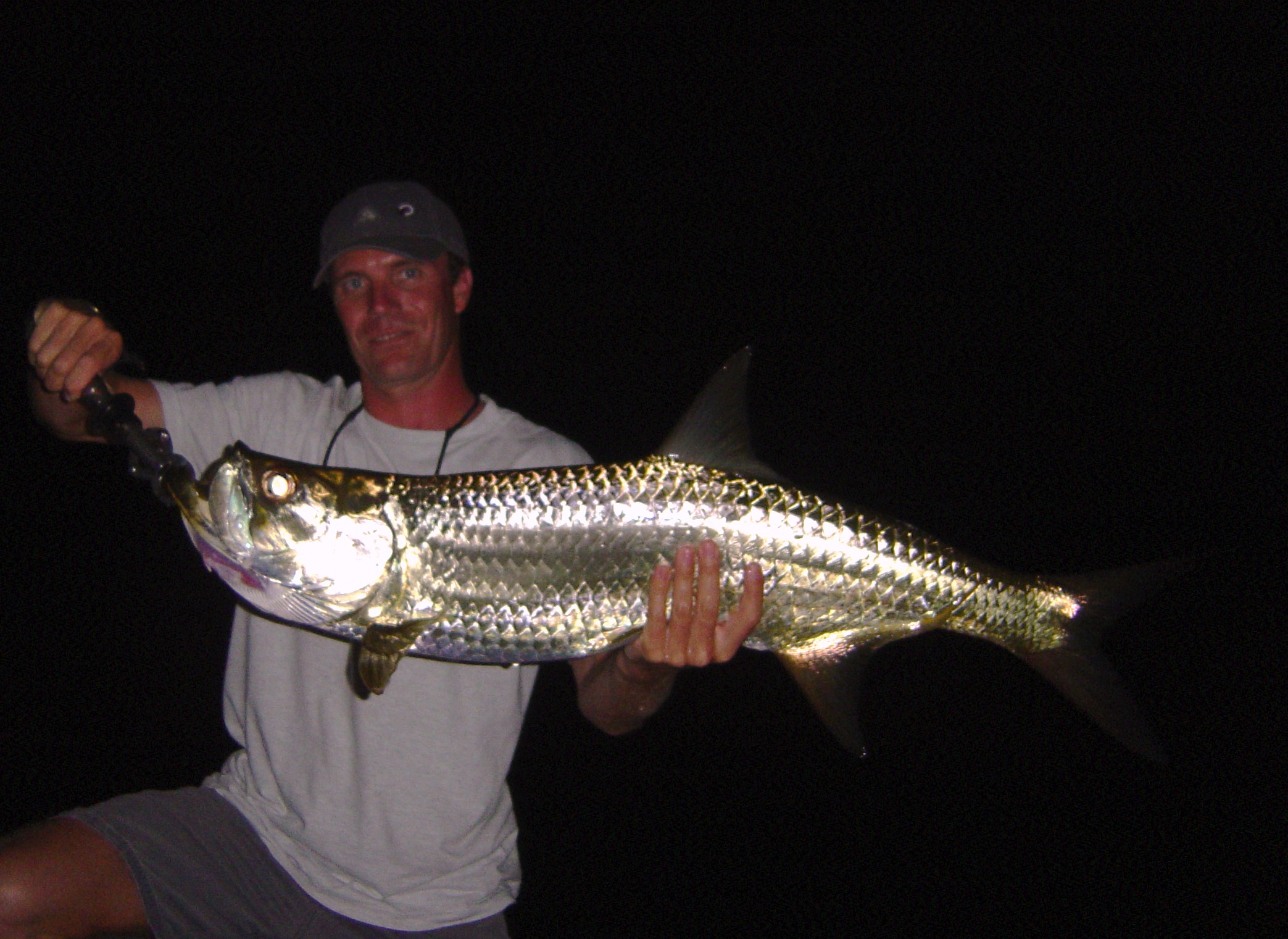 Cancun tarpon