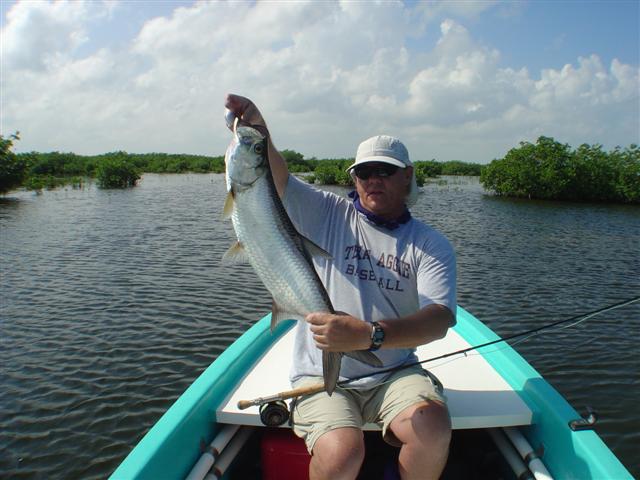 Cancun tarpon