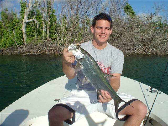 Cancun tarpon