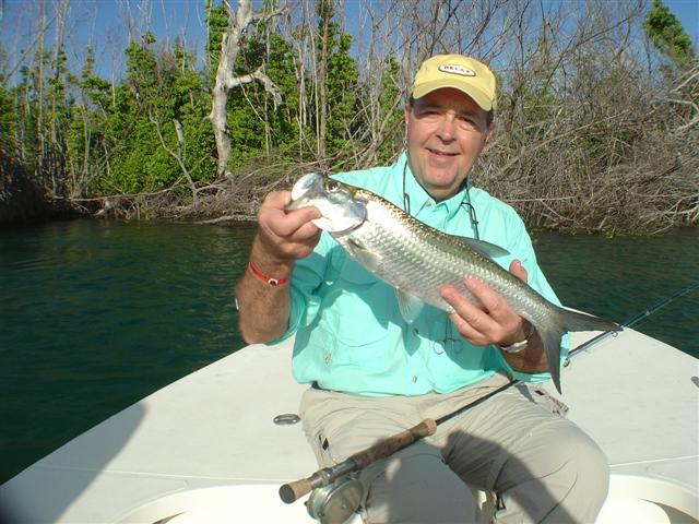 Cancun tarpon