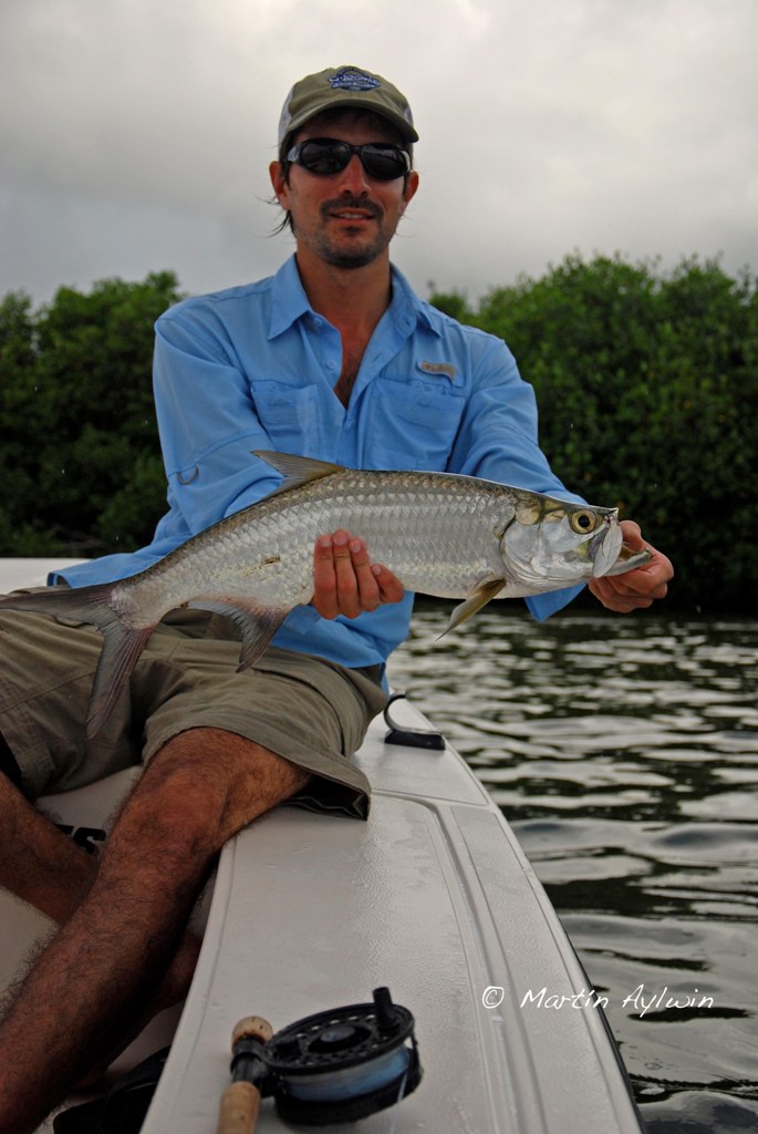 Cancun tarpon