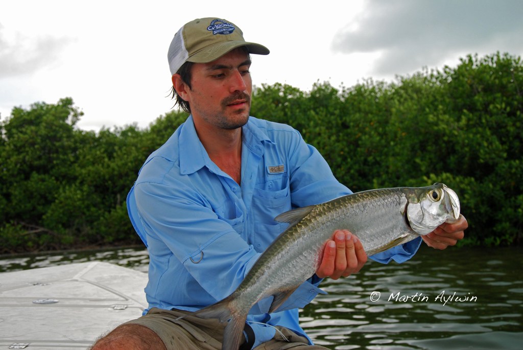 Cancun tarpon