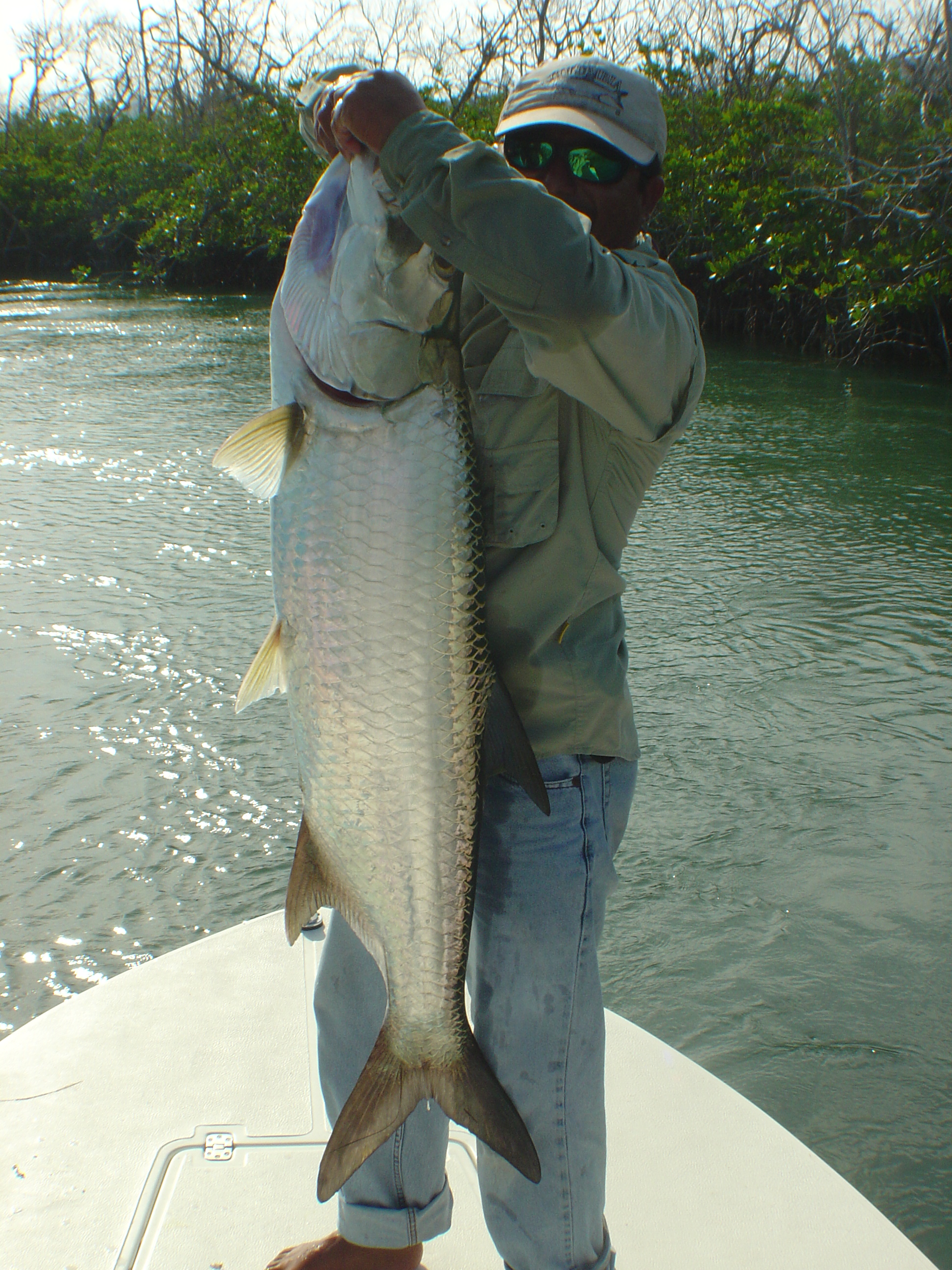 Cancun tarpon