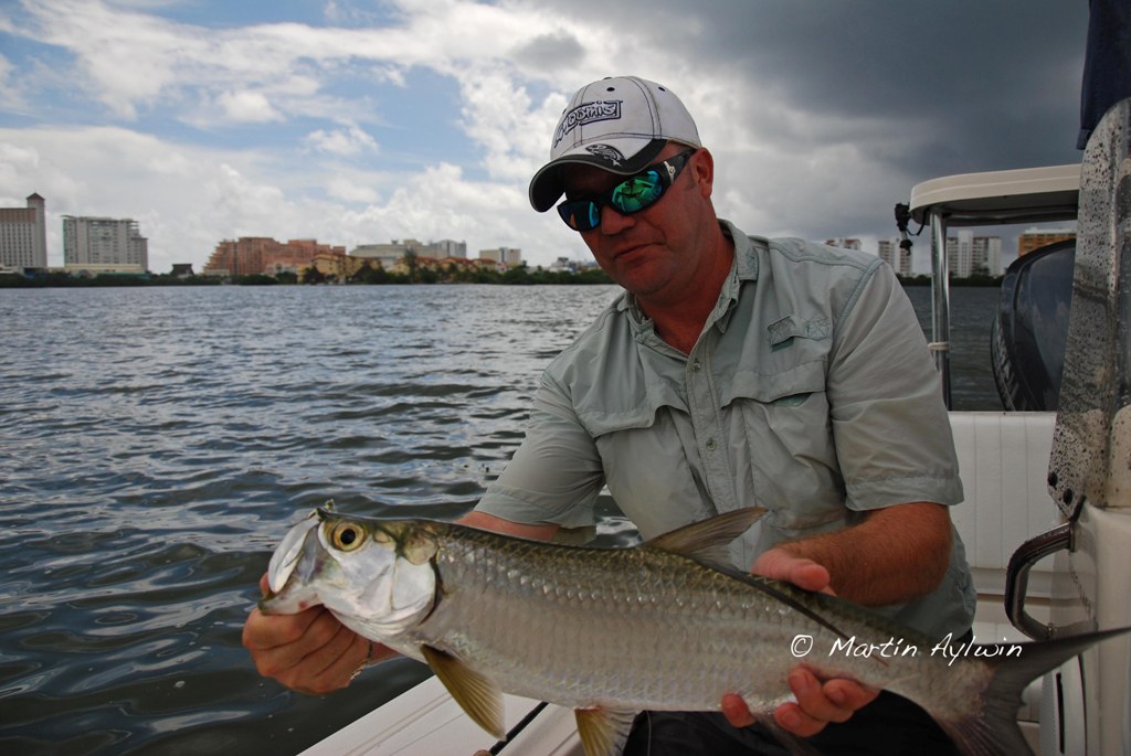 Cancun tarpon