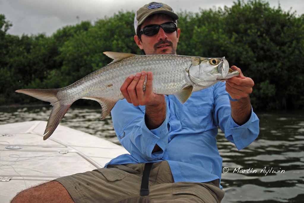 Cancun tarpon