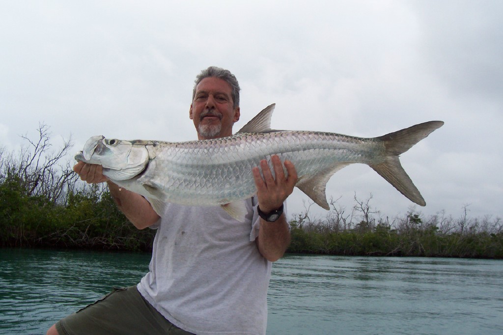 Cancun tarpon