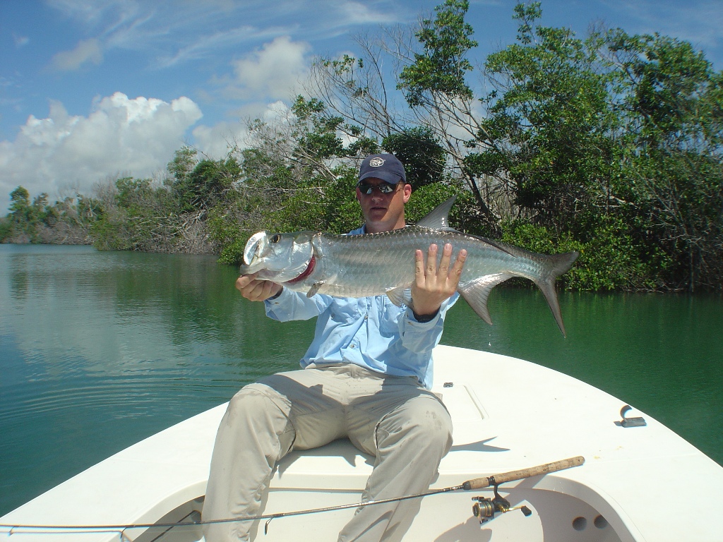 Cancun tarpon