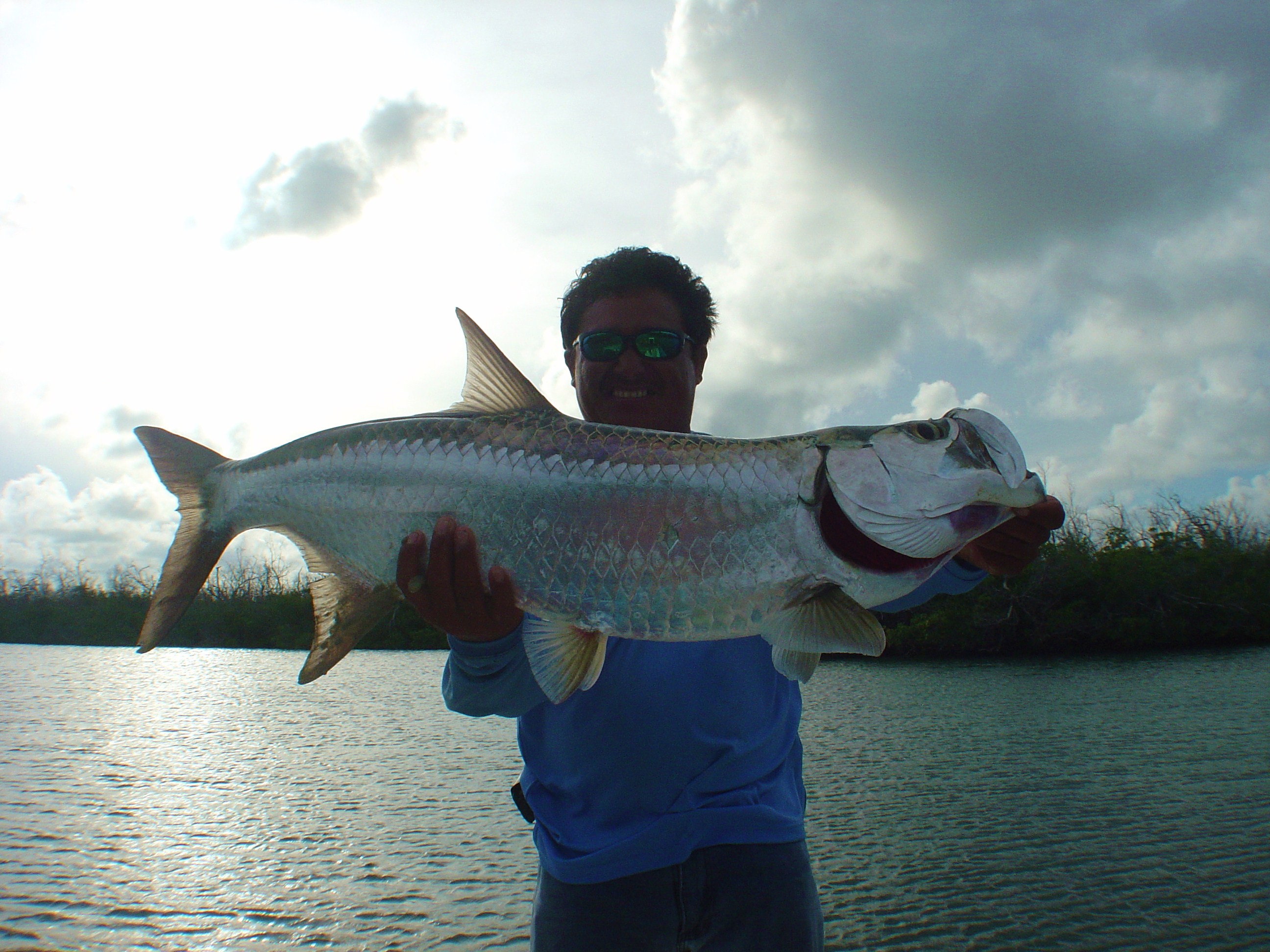 Cancun tarpon