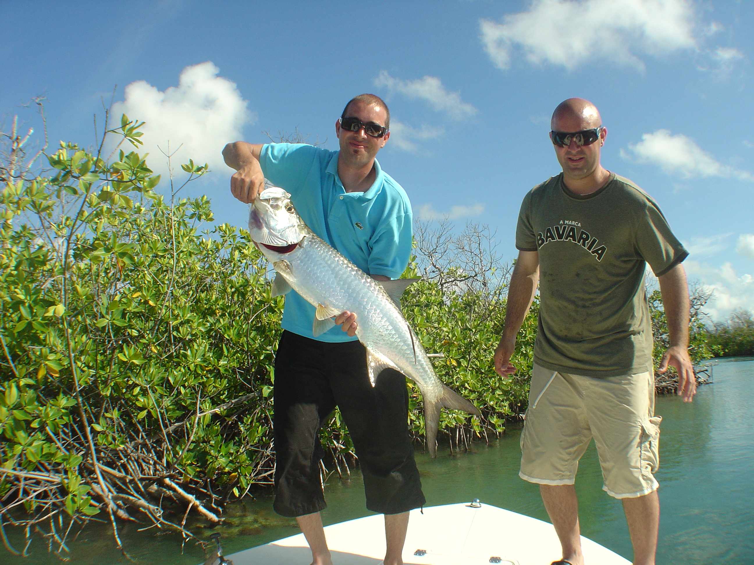 Cancun tarpon