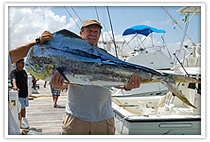 Dorado Cancun