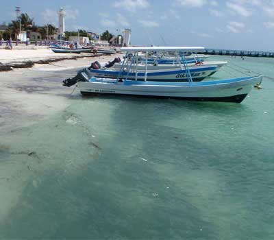 Puerto Morelos Fishing